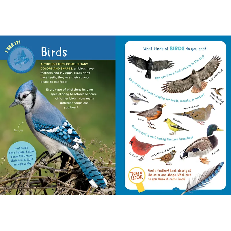 Backpack Explorer: On the Nature Trail: What Will You Find?