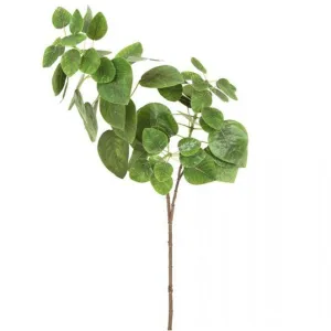Pomegranate Leaf 70cm