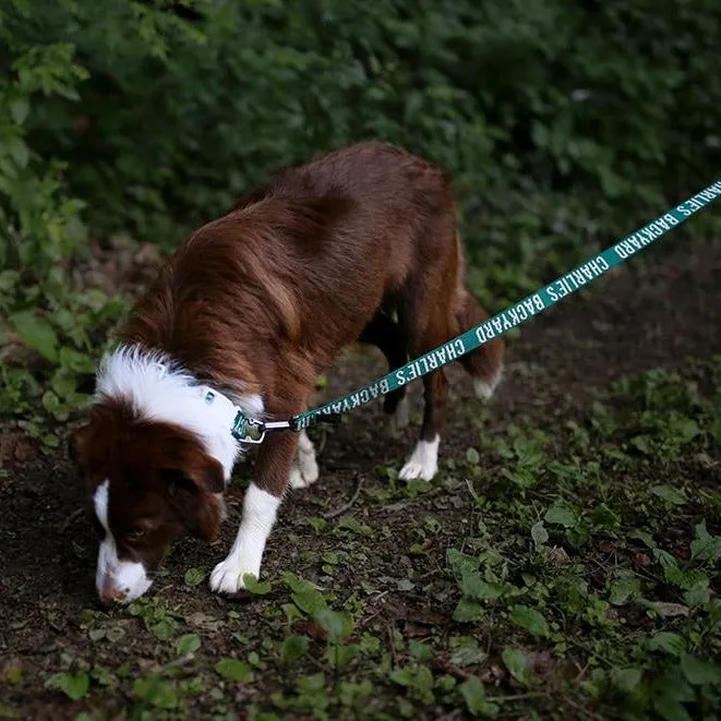 Trip Leash Green