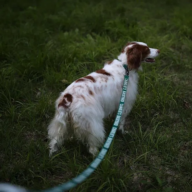 Trip Leash Green