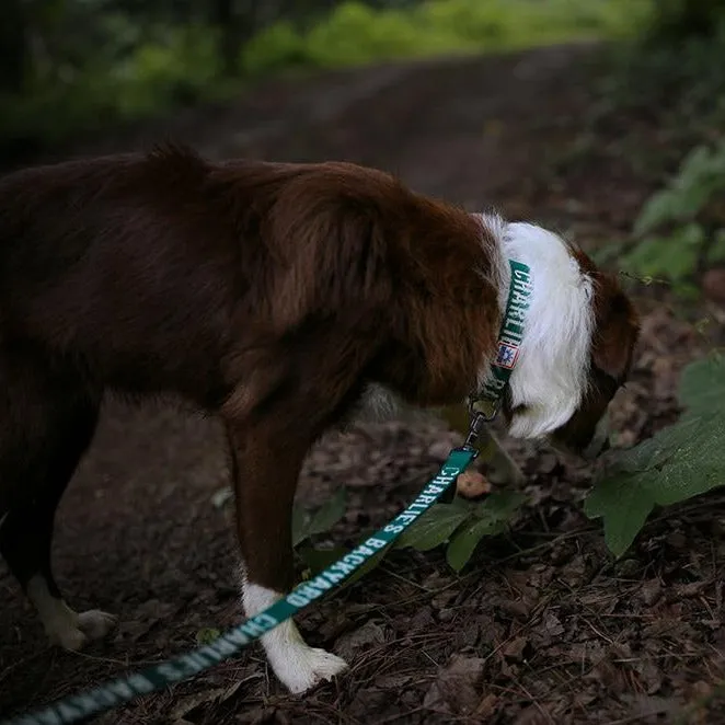 Trip Leash Green