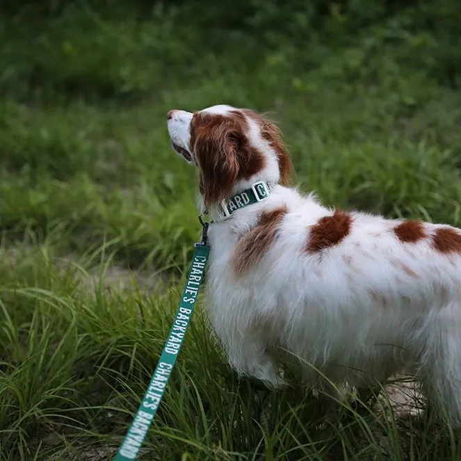 Trip Leash Green