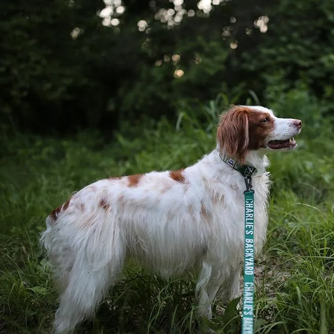 Trip Leash Green